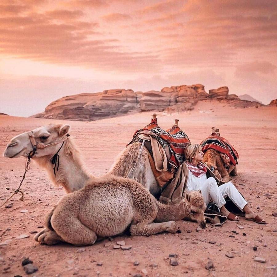 Wadi Rum Dream Camp Eksteriør billede