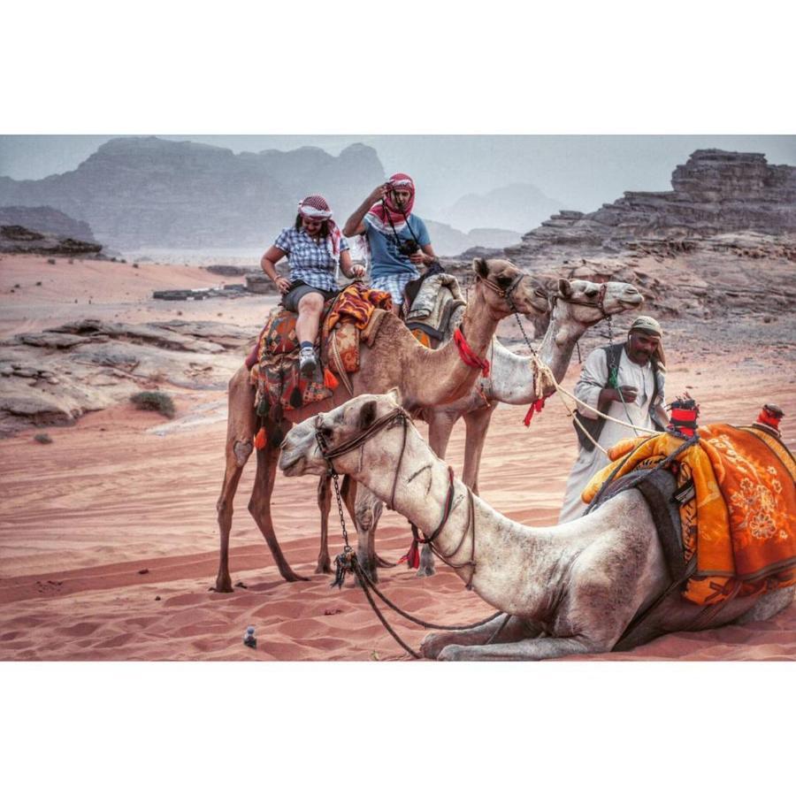 Wadi Rum Dream Camp Eksteriør billede